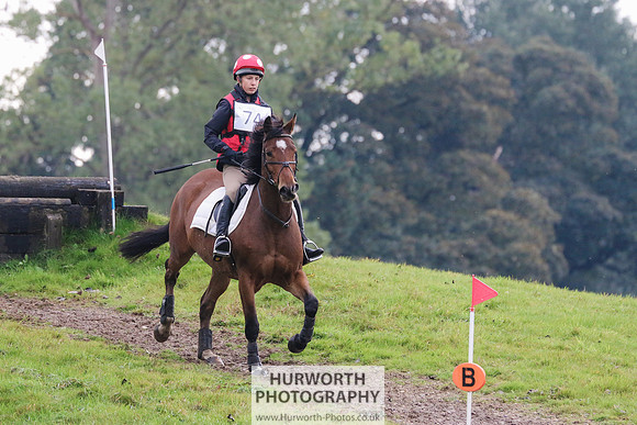 Hurworth Hunter Trial 313