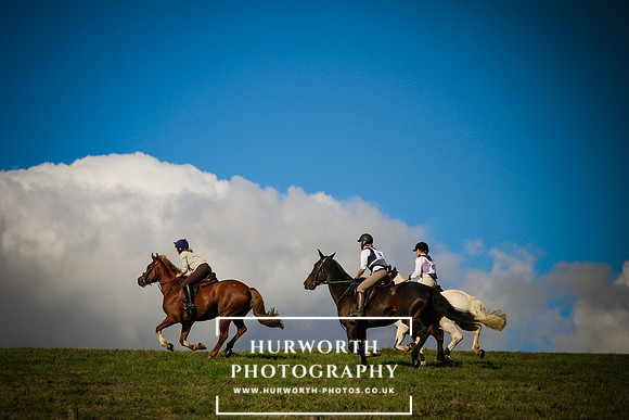 Hurworth Hunt 024