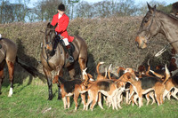 Hurworth Hunt 20