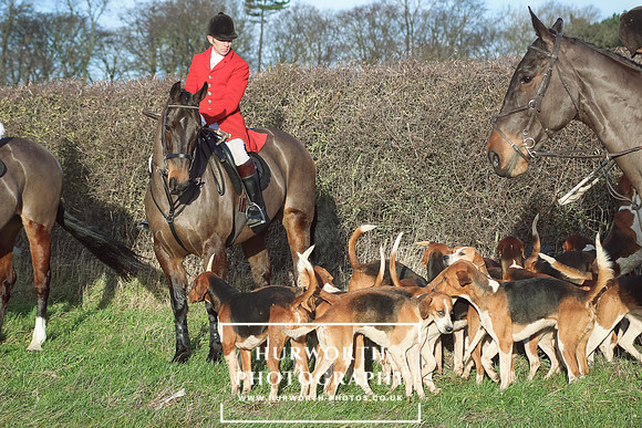 Hurworth Hunt 20