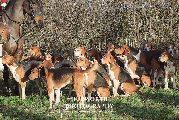 Hurworth Hunt 86