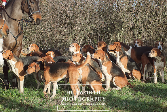 Hurworth Hunt 87