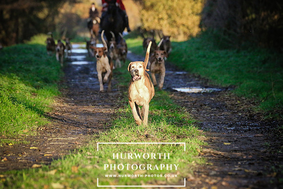 Hurworth Hunt  215