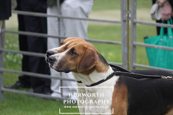 Festival of Hunting 001