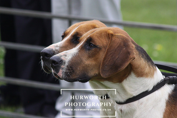 Festival of Hunting 002