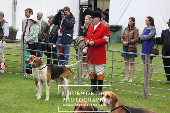 Festival of Hunting 004