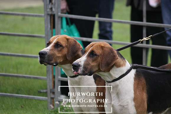 Festival of Hunting 005