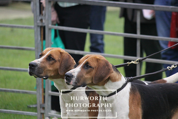 Festival of Hunting 006