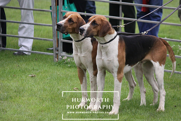 Festival of Hunting 007