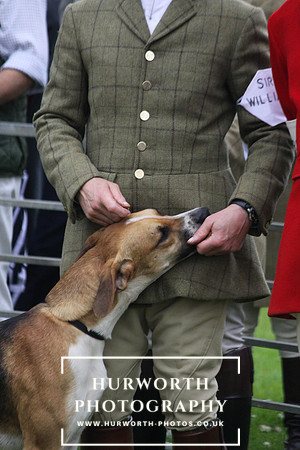 Festival of Hunting 009