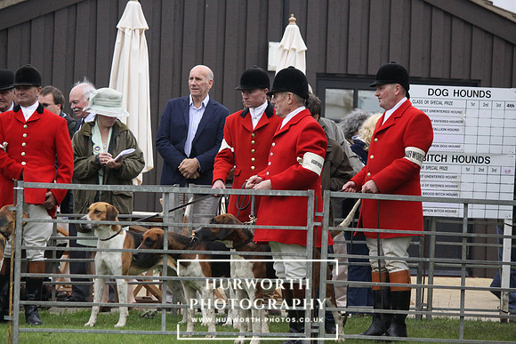 Festival of Hunting 014