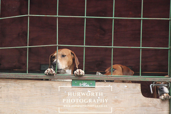 Festival of Hunting 015