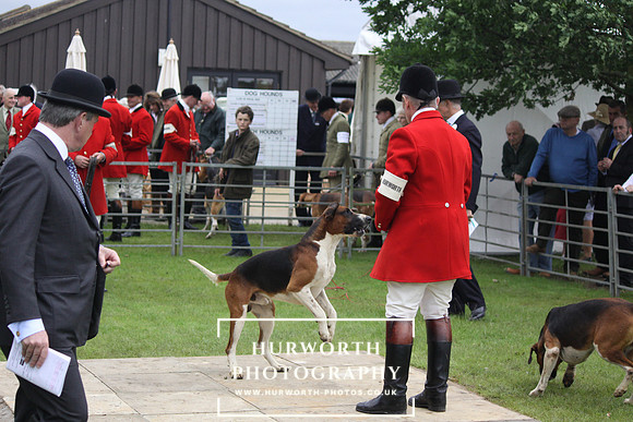 Festival of Hunting 018