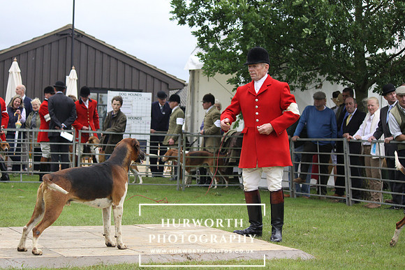 Festival of Hunting 019