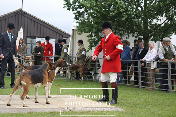 Festival of Hunting 020