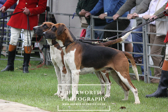 Festival of Hunting 021