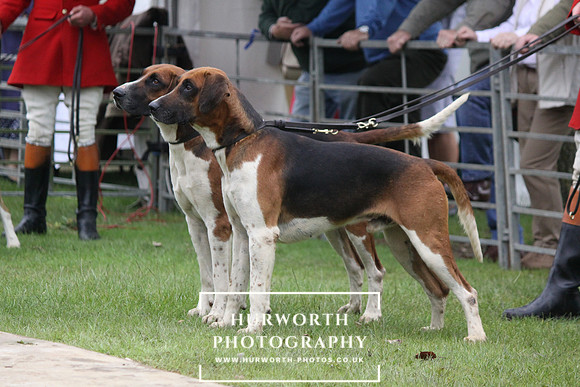 Festival of Hunting 022