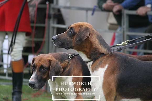 Festival of Hunting 023