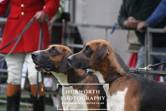 Festival of Hunting 024
