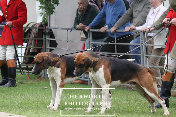 Festival of Hunting 025