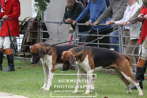 Festival of Hunting 026