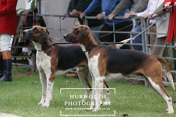 Festival of Hunting 027