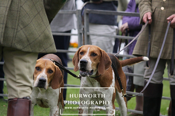 Festival of Hunting 028