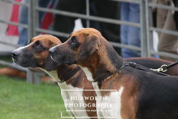Festival of Hunting 029