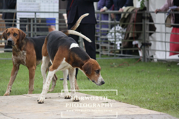 Festival of Hunting 030