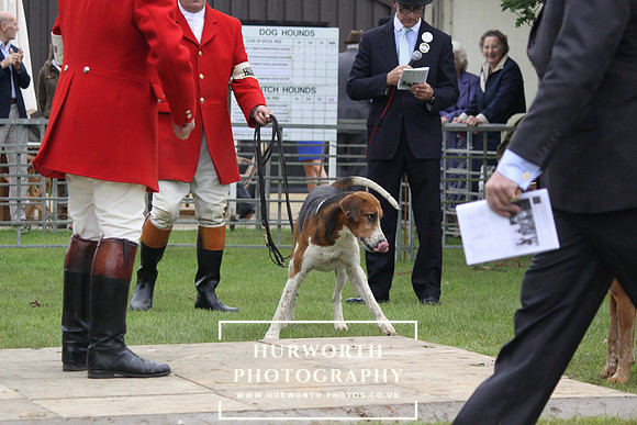 Festival of Hunting 031