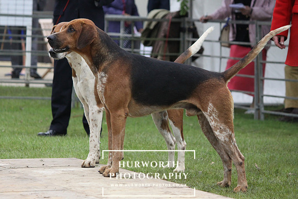 Festival of Hunting 032