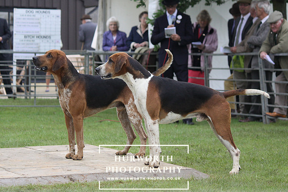 Festival of Hunting 036