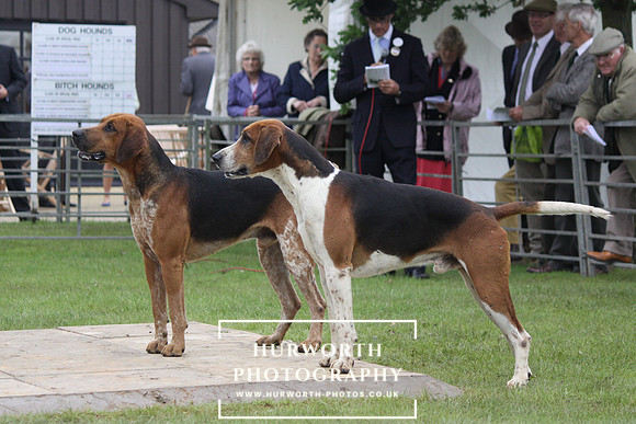 Festival of Hunting 037