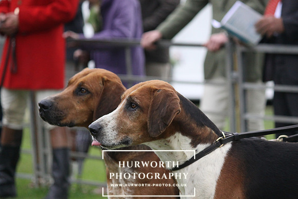 Festival of Hunting 038