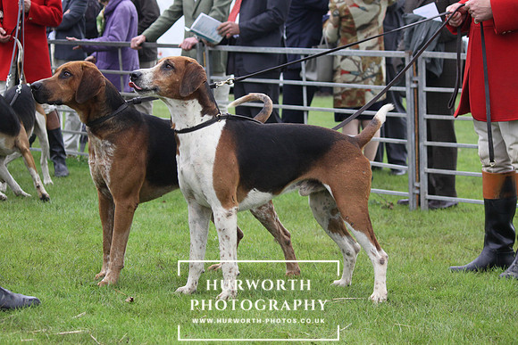 Festival of Hunting 039