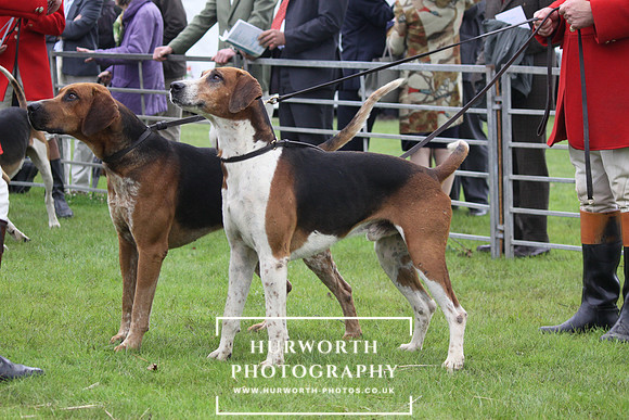 Festival of Hunting 040