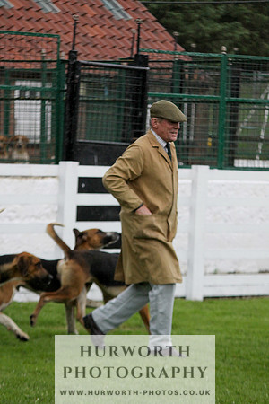 Hurworth Puppy Show Practice 008