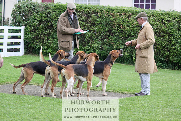 Hurworth Puppy Show Practice 015