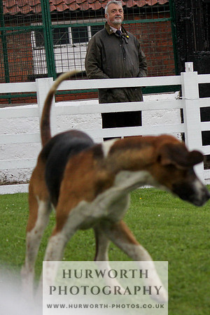 Hurworth Puppy Show Practice 026