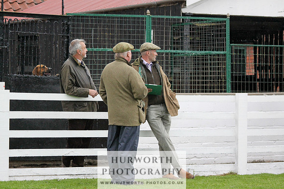 Hurworth Puppy Show Practice 028