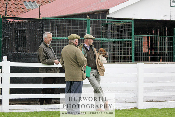 Hurworth Puppy Show Practice 029