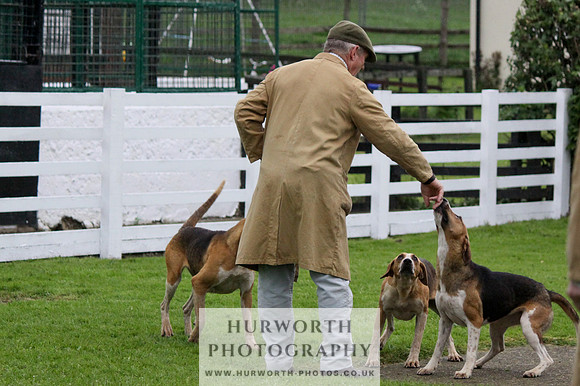 Hurworth Puppy Show Practice 047