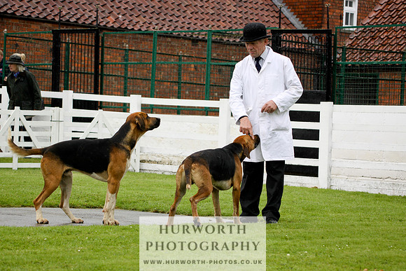 Hurworth Puppy Show 023