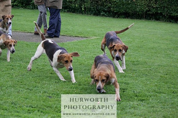 Hurworth Puppy Show Practice 053