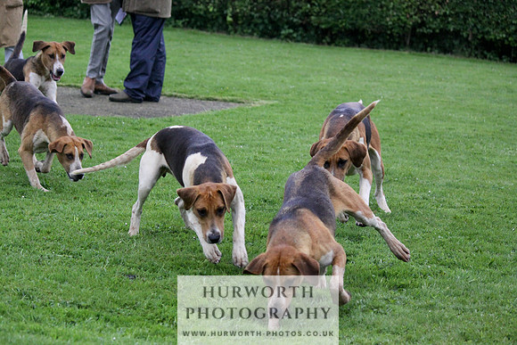Hurworth Puppy Show Practice 054