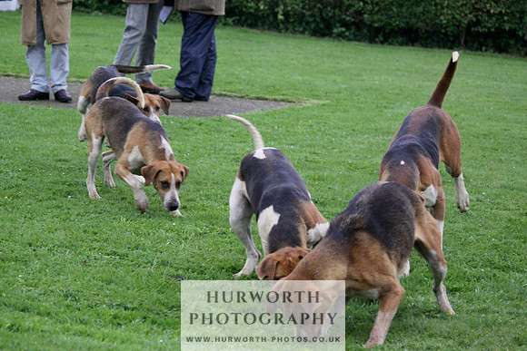 Hurworth Puppy Show Practice 055