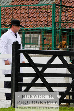 Hurworth Puppy Show 029