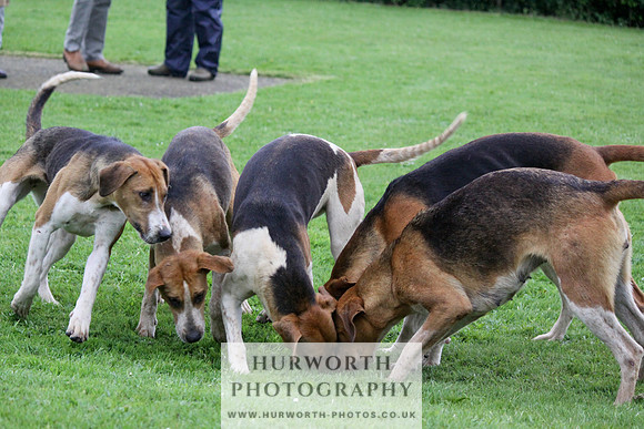 Hurworth Puppy Show Practice 056