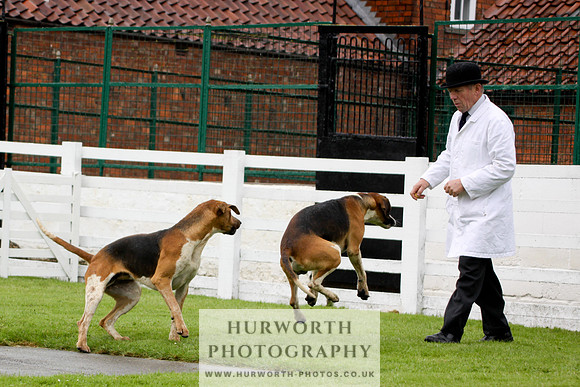 Hurworth Puppy Show 030