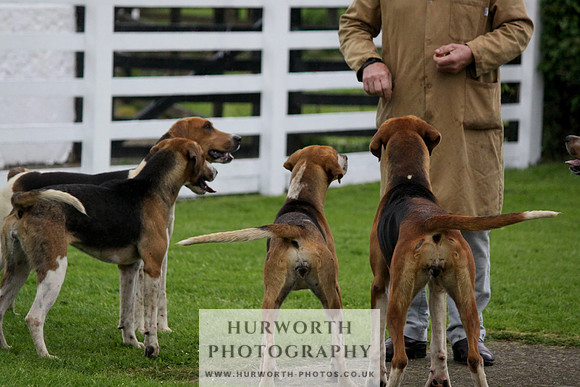 Hurworth Puppy Show Practice 057